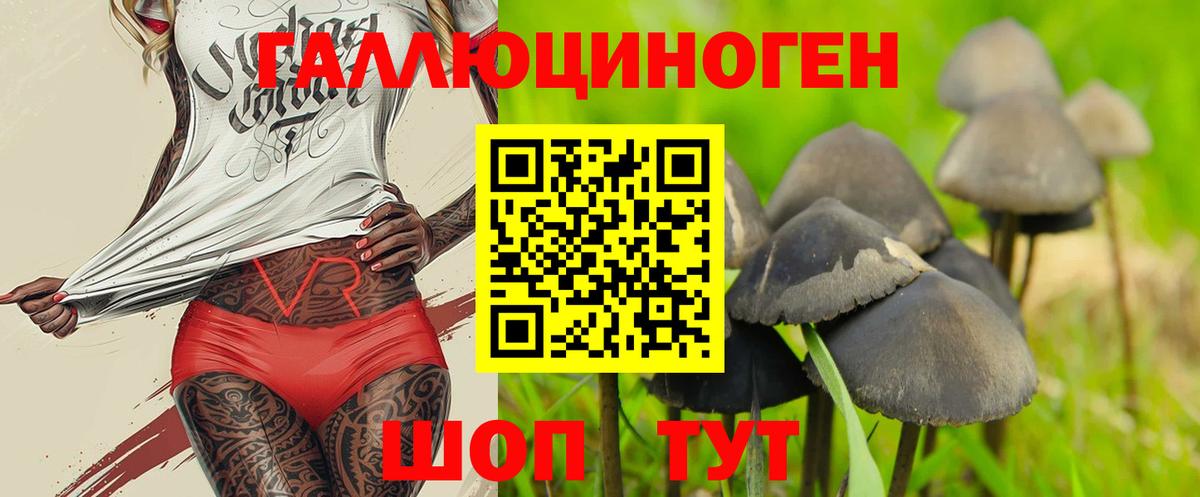 Дубна  Псилоцибиновые грибы Cubensis  Вход с VPN 
