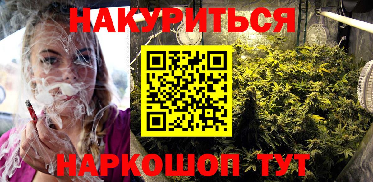 Бошки Шишки план Дубна